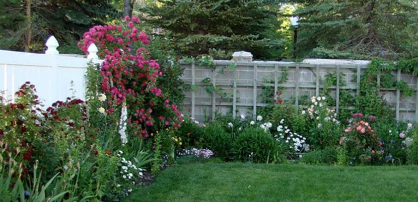 How to Keep Your Garden Nice When You are Not There