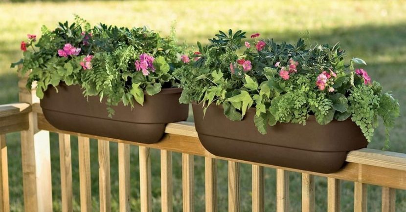 Best Garden Pots for Balconies