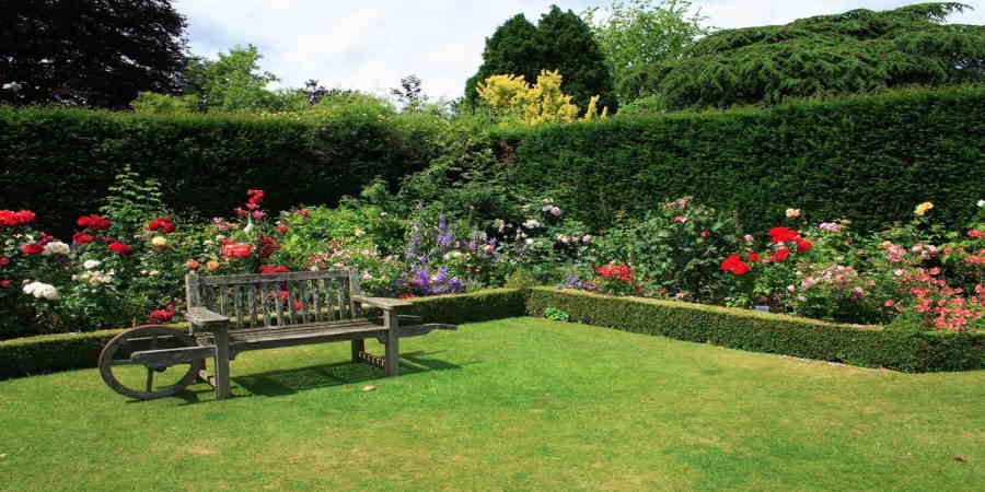 10 Tips For Landscaping Designs Suitable For Those With Limited Mobility